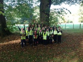 Year 3's Autumn visit to the woods