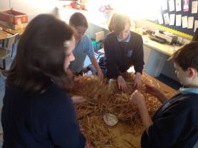 Year 7 Famine Cottages