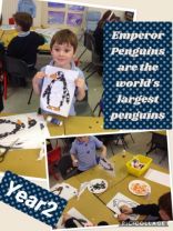 Year 2 explore the Cold Lands!