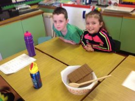 Year 3  Heating and Cooling investigation