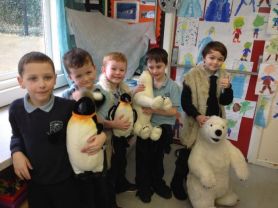 Exploring the Arctic in Year 2