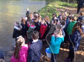 Year 7 Salmon Release with Anahorish P.S
