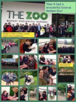 Year 3 and 4 had a wonderful trip to Belfast Zoo on Monday 21st May